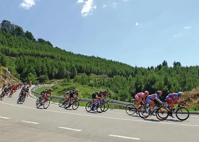 In Апартаменти *